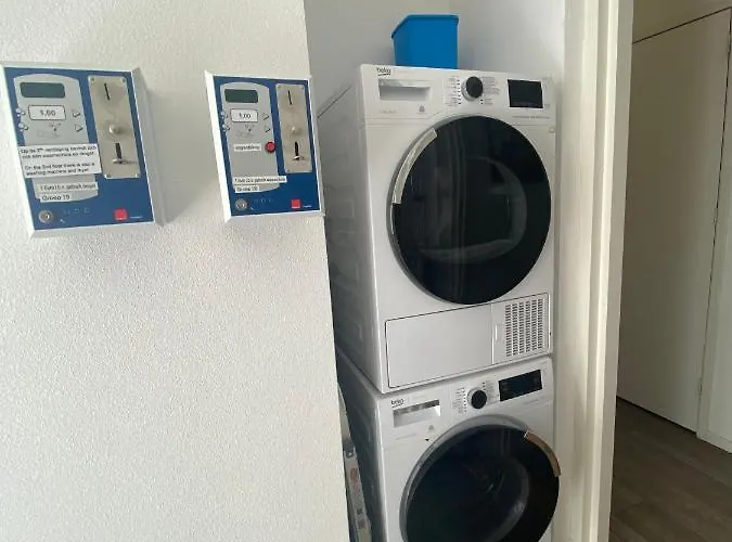 Hollandse Nieuwe Katwijk aan Zee